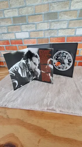 DVD U2
