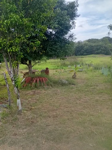 Terreno em Manassu