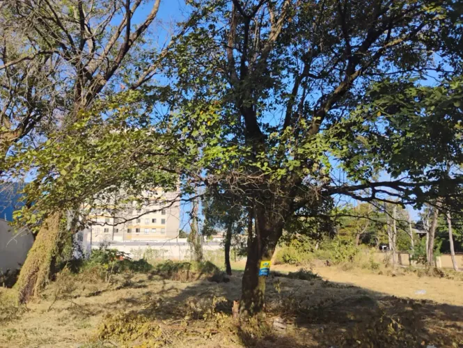 TERRENO JD COLONIAL ABERTO