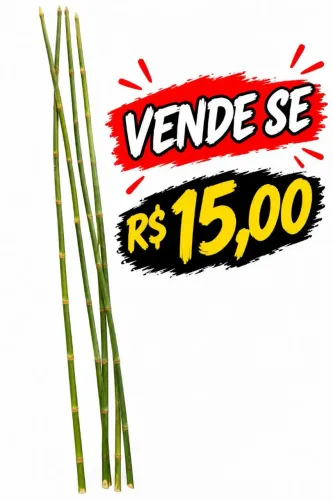vara de pescar 