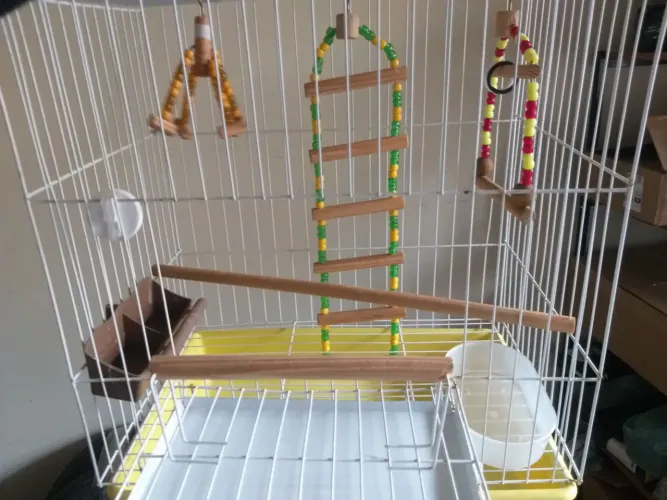 Gaiola para aves