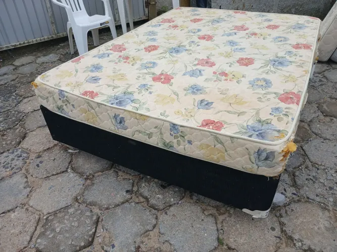 Cama 