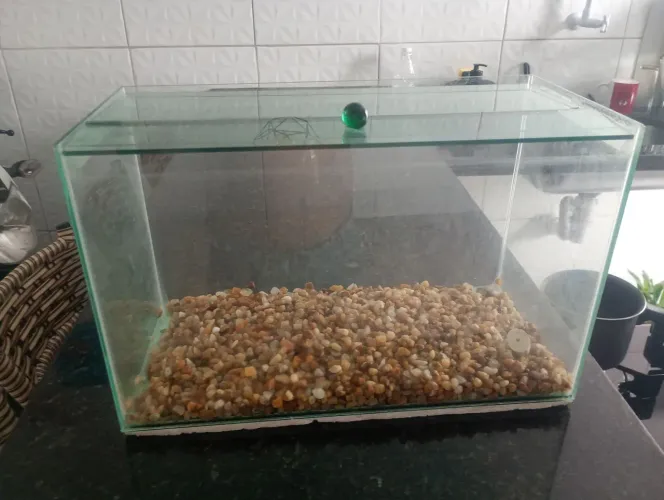 Vendo aquário 19 litros