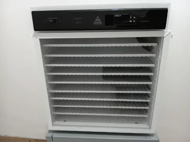 Desidratadora de alimentos