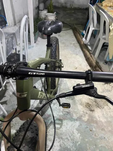Fat bike