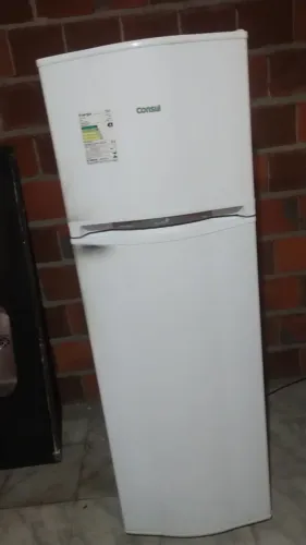 Domestico