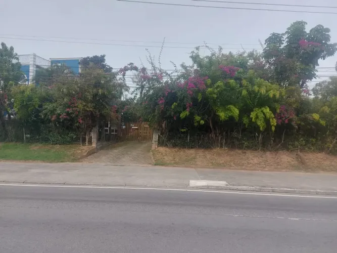 Imóvel para venda tem 1861 metros quadrados em Ingleses do Rio Vermelho - Florianópolis -