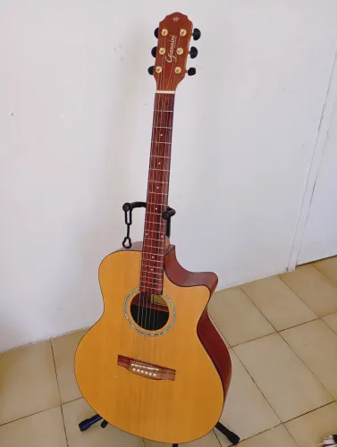 Giannini performance Folk