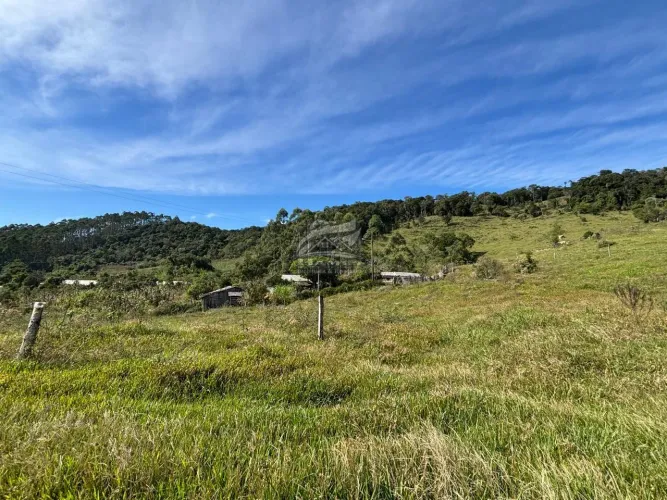 Sítio para Venda em Angelina, RIO VEADO, 2 dormitórios, 1 banheiro