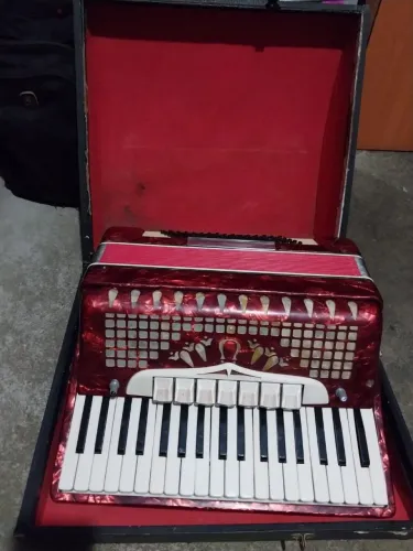 Vendo sanfona 80 baixos