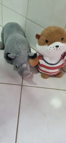 Dois bichos de pelúcia  