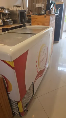 Freezer horizontal