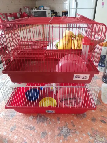 Gaiola para hamster 