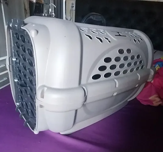 Transporte para pet