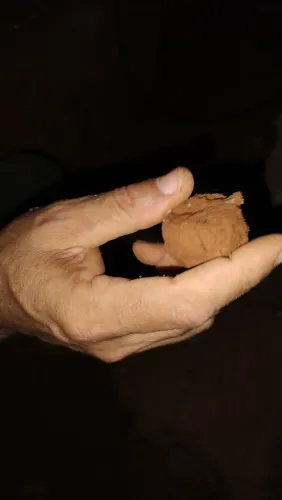 BARRO F OU BARRO VERMELHO PARA ARTESANATO