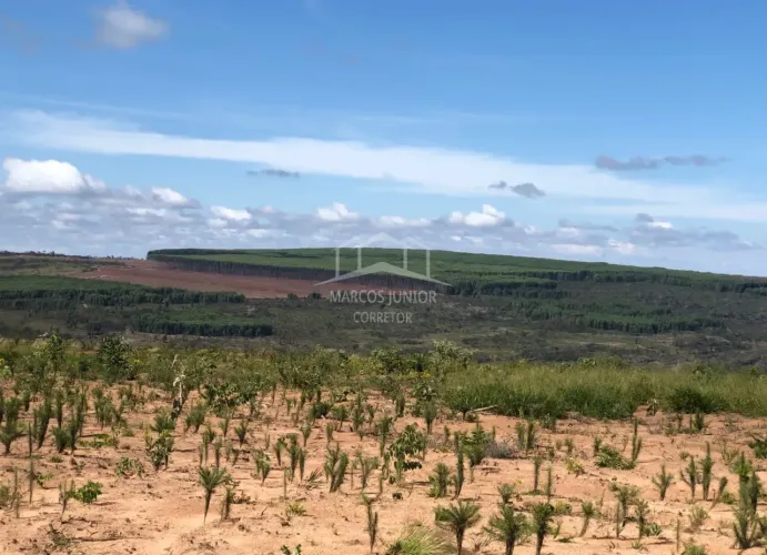 FAZENDA ACIMA DE 1000 HA NA REGIÃO DA SERRA DO CABRAL, COM PLANTIO DE EUCALIPTO E PROPICIA
