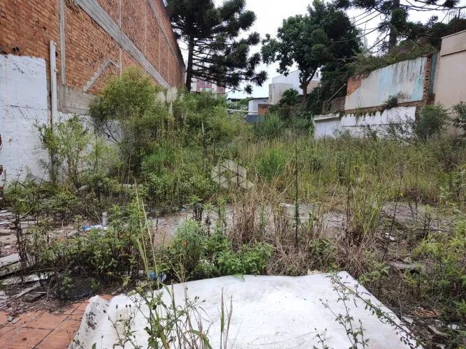 TERRENO NO BAIRRO RIO BRANCO COM 606 M² - CAXIAS DO SUL-RS