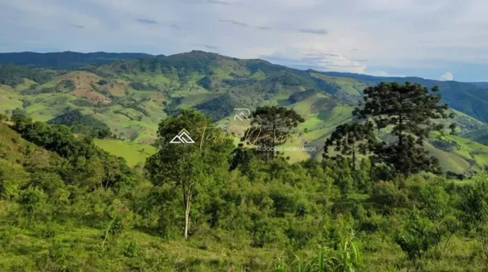 30 alqueires na Serra da Mantiqueira