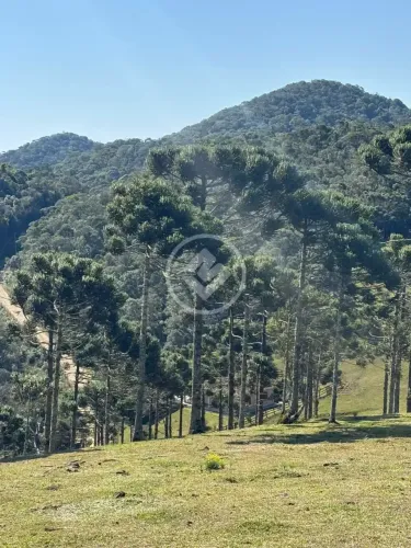 FKDS - 4 hectares, Sítio 5km do centro de Rancho Queimado / SC