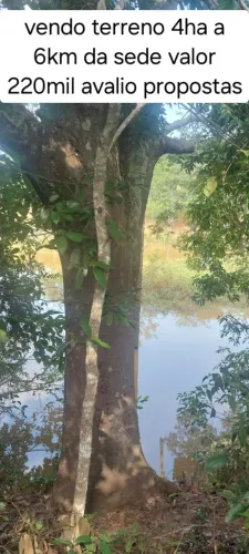 Terreno 4,2 HA com lagoa e córrego