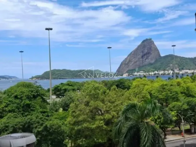 Apartamento : Padrão / Residencial / Flamengo