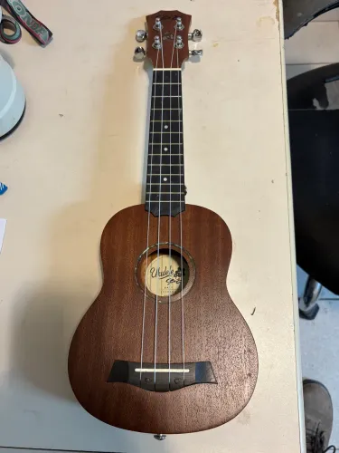 Ukulele Seizi