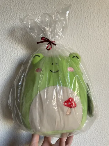 Pelúcia Squishmallows Wendy Sapo Cogumelo