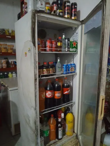 Expositor e freezers