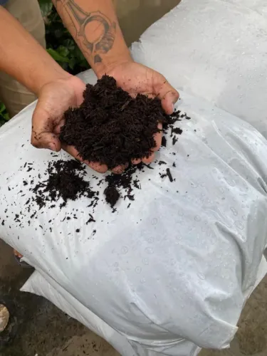 Adubo/substrato 100% orgânico (Uso geral)