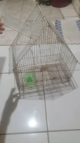 Gaiola Hamister