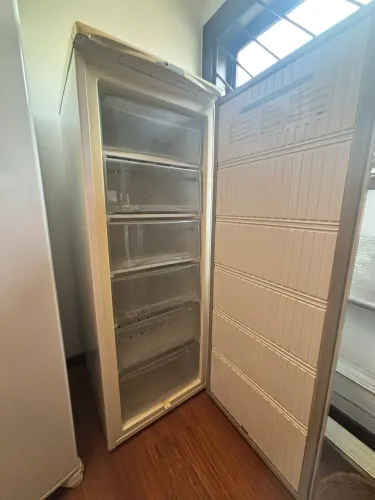 Freezer Vertical Electrolux F210