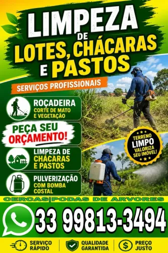 Limpeza de lotes e chácara