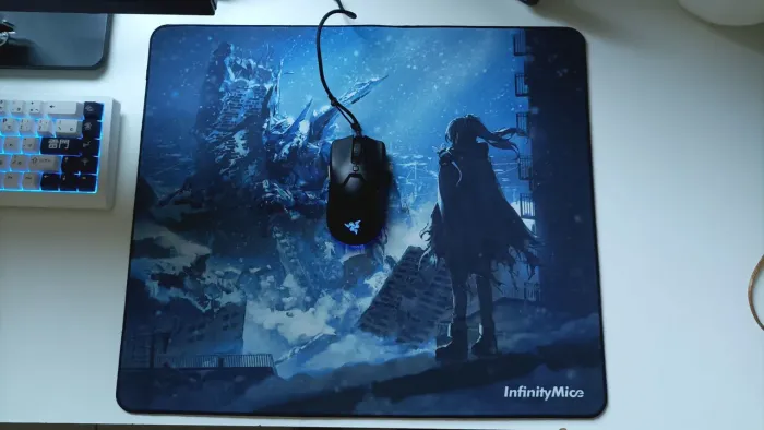 Mousepad Infinitymice Ruin 