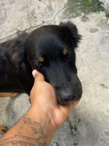 Doação responsável Boa Viagem