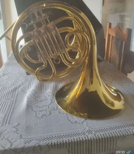 Instrumento ? Musical Trompa Weril ?