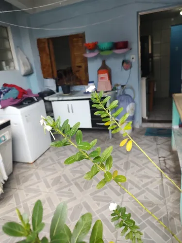 2 casas a Venda