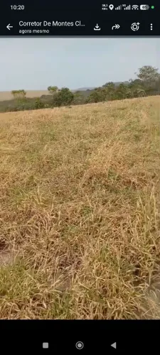 Fazenda de arrendamento pasto pra Gado, 70 alqueires em Baliza Go.
