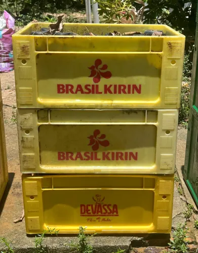 Vasilhame litrinho Ambev