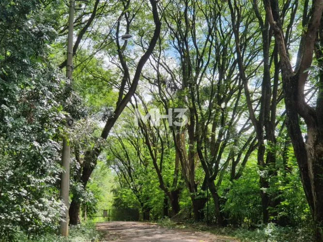 Vende-se terreno cerca de 1.300m², c vista, aclive em Joaquim Egídio no Cond. Morada das N