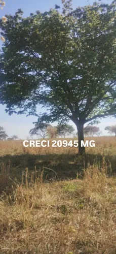 PROPRIEDADE RURAL EM BONFINÓPOLIS DE MINAS