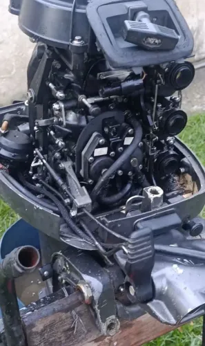 Johnson 35hp 3cilindros 