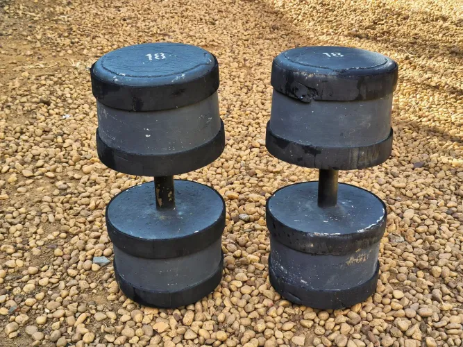 Peso para treino