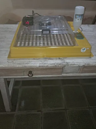 CHOCADEIRA PREMIUM IP100