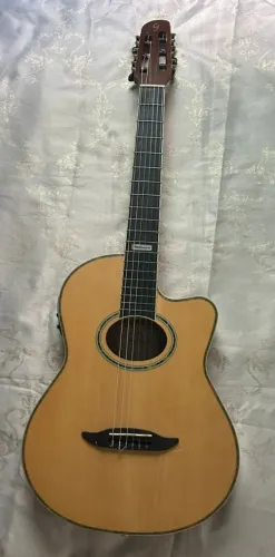 Violão Giannini 