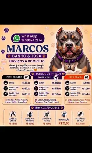 banho e tosa