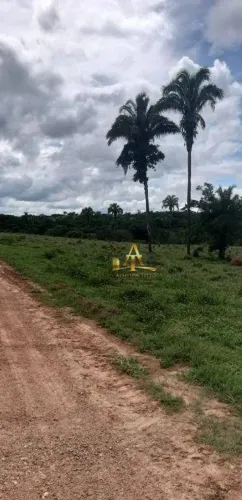 Fazenda à Venda - Zona Rural - Paraiso Das Águas/MS
