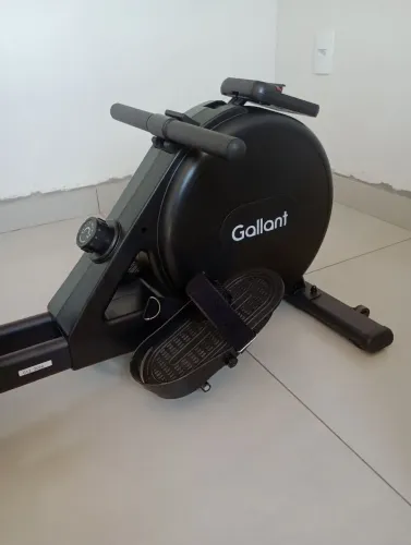 Remo Seco Indoor Gallant
