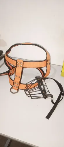Peitoral Reforçado + Focinheira de Metal para Cachorro - Usados