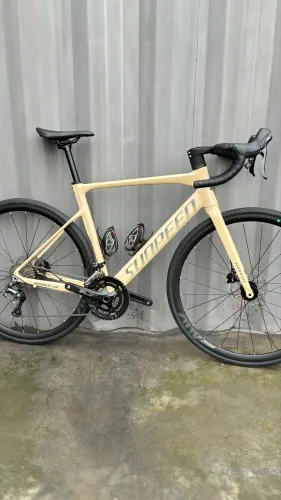 Bicicleta 29