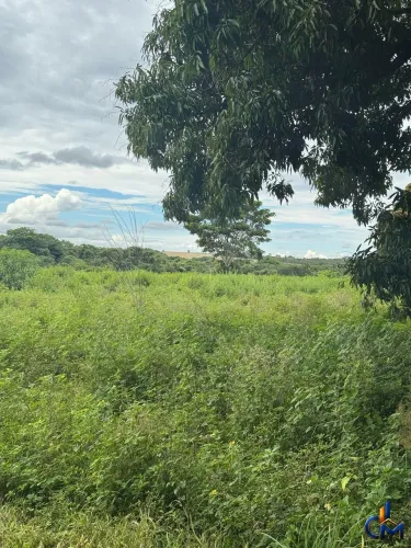Fazenda em Porto Gauchos